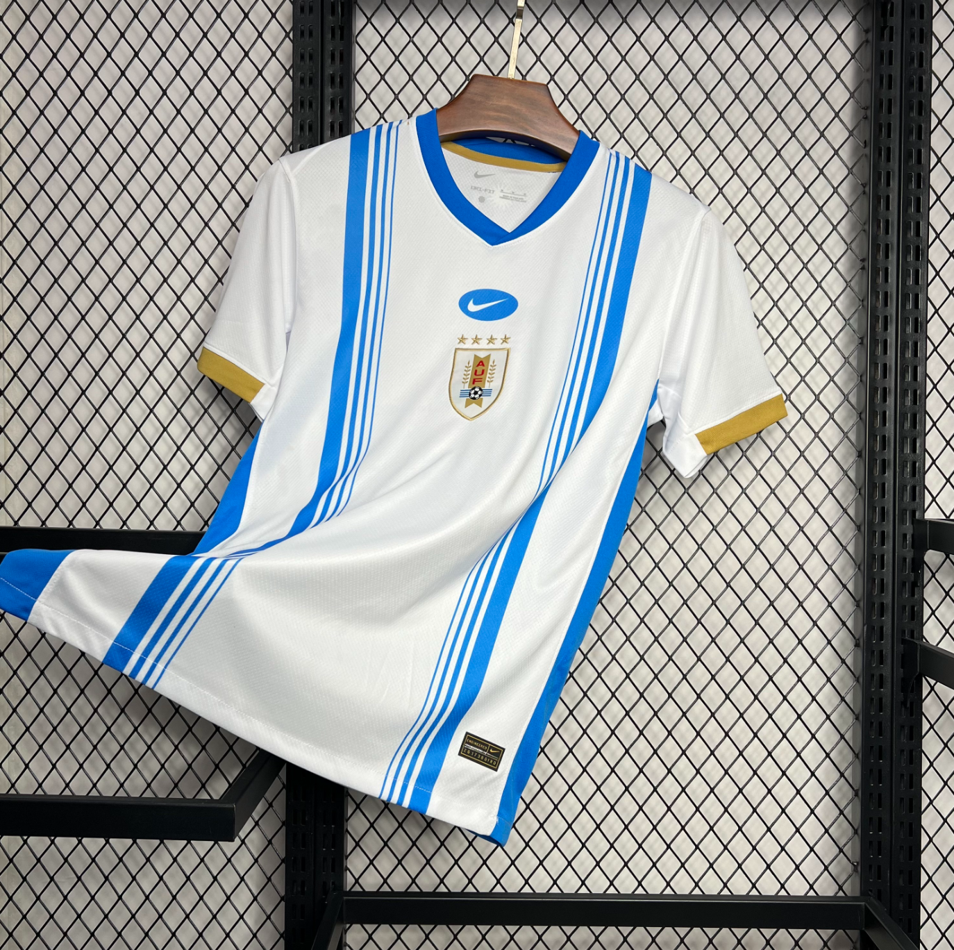 Uruguay 2024/2025 Pre-match training